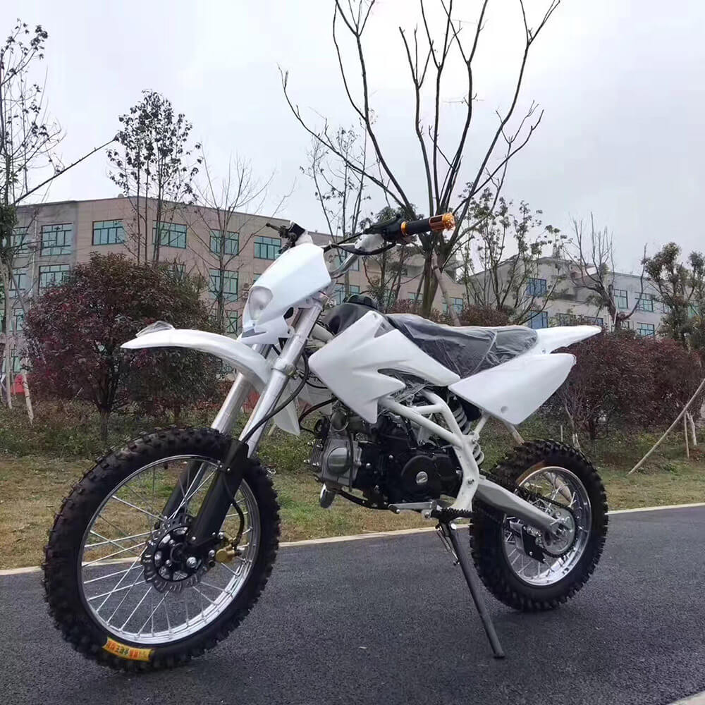 Kawasaki model