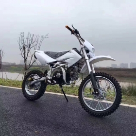 Kawasaki model